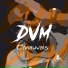 DVM