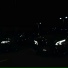 Dark