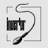 Invertor