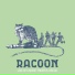 Racoon