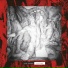 XTR Human