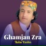 Babu Pardes