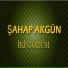 Şahap Akgün