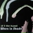 5HT the Band