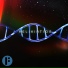FELT