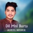 Adeel Meher