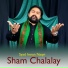Syad Imran Naqvi