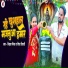 Nihal Mishra, Vidya Tiwari