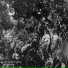 Spectromnesia