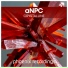 aNPC