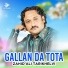 Zahid Ali Tarikhelvi