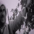 Roj Eli