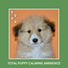 Dog Chill Out Music