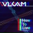 VLCAM feat. Danny Hall