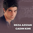 Reza Azizan