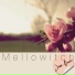 Melloewitch