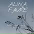 Alina Favre