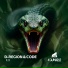 D-Region & Code