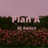 Dj Amice