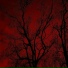 Oswy feat. Benzoming