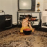 Moral insanity