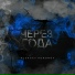 SKIPVEIS