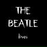 The Beatle