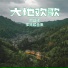 吴爱玲
