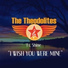 The Theodolites feat. Shine