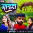 Kumar Vipul, Manisha Patel