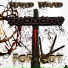 Hard Head