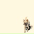 CERF