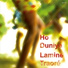 Lamin Traore