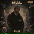 DLM