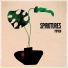 Spirotures