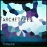 Tinbone