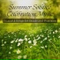 White Summer Solstice