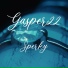 Gasper22