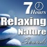Nature Sounds