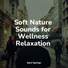 Natureza, Mother Earth Sounds, Meditação Yoga