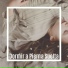 Musica para Dormir Dream House, Relajación