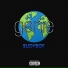 SLIDYBOY