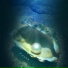 Marie Muchico