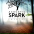 Acoustic Spark