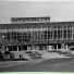 shrm, GrubiyTonn
