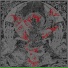 Nexul