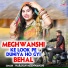 Narayan Meghwanshi