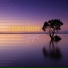 Andrew Modens