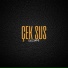 liizzard