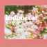 indoorcat